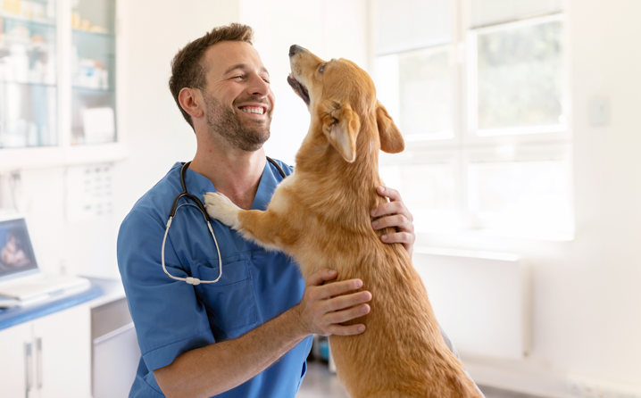 Prefeitura promove mutirão de castração gratuita para cães