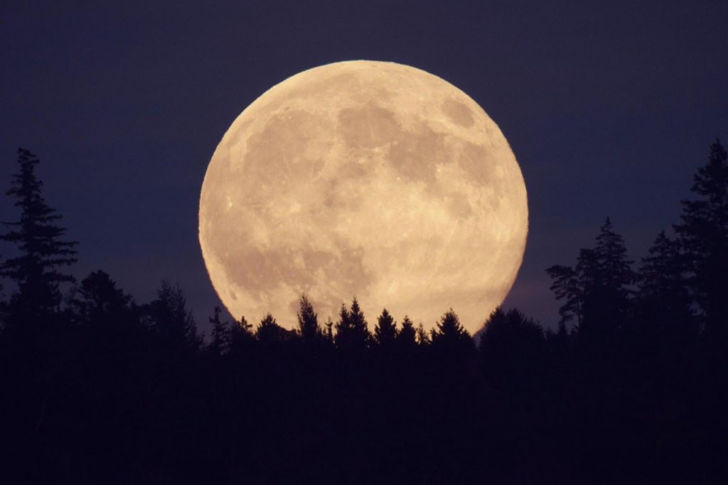 Última Superlua de 2025 ilumina o céu esta semana